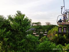 -圣淘沙天际线斜坡滑车