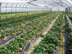 -上海多利农业发展有限公司