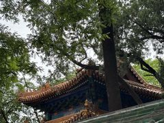 -北京国子监胡同