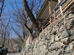 -阳台山自然风景区