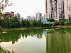 -沐仙湖湿地公园