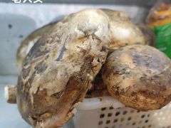 -藏味八珍特色火锅
