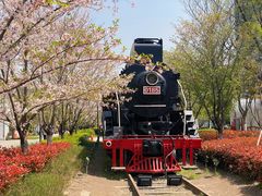 -新天地活力PARK