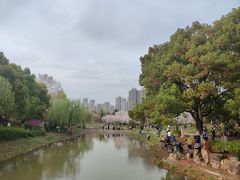-堤角公园