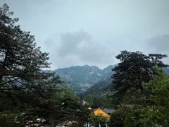 -九华山风景区
