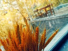 -腾爱熊猫咖啡生活馆(老东门店)