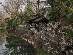 -红梅公园