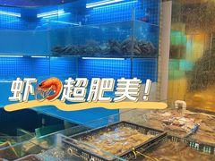 水产区-九月海·海鲜自助(世纪东方店)