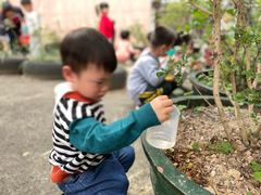 -井德幼儿园(新康花园店)