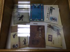-上海大自然野生昆虫馆(东方明珠·爬宠昆虫探索中心)