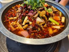 -新渝城·川菜·火锅(区庄店)