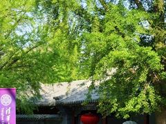 -京城小江南·北京烤鸭·江南土菜·白鱼(中关村店)