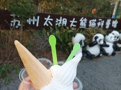 -苏州太湖国家湿地公园