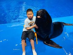 -芜湖新华联大白鲸海洋公园