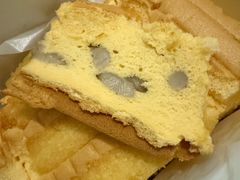 -小熊吉姆(kkone店)