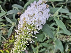 -北京植物园南门售票处