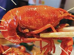 虾子-红姐龙虾·烧烤·酸菜鱼(二十二年老店)