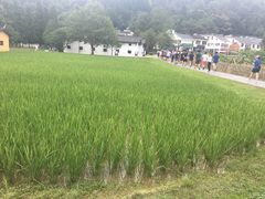 -毛泽东同志旧居