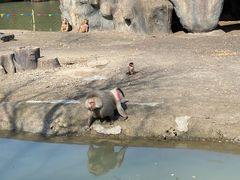 -宁波野生动物园