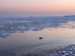 -金梦海湾浴场