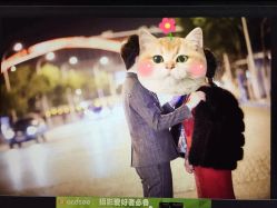 -韩国艺匠ARTIZ STUDIO(天津店)