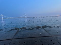 -星海广场