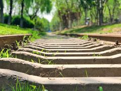 -永定河休闲森林公园