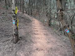 -舒家湾天主教堂