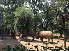 -西安秦岭野生动物园