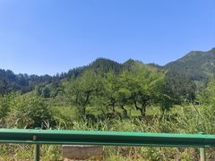 -沈家花园如皋菜(君御豪庭店)