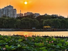 -济南大明湖景区