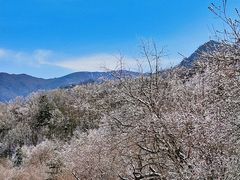 -秦岭风景区