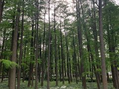 -月湖风景区