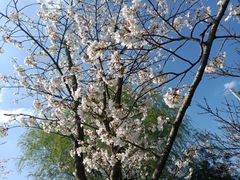 -贵阳市花溪国家城市湿地公园
