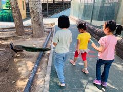 -新疆天山野生动物园