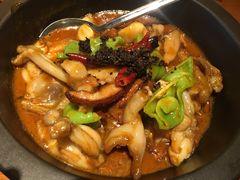 黑松露牛肝菌焖牛蛙-云海肴·汽锅鸡·云南菜(苏州中心店)