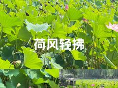 -迎泽公园