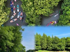 -动邦皮划艇·桨板·独木舟·团建户外运动俱乐部