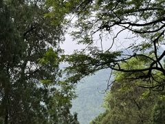 -泰山风景名胜区