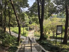 -苏州上方山国家森林公园