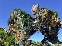 -奥兰多迪士尼动物王国乐园