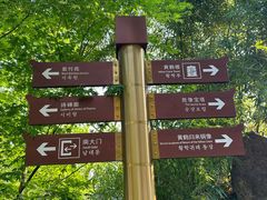 -黄鹤楼