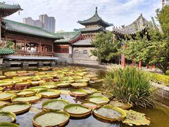 -迎泽公园