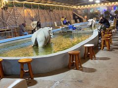 -光头佬钓虾场·烧烤·聚餐·亲子(金沙洲店)