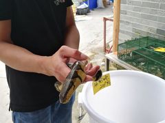 -顺德了能馆(虎门店)