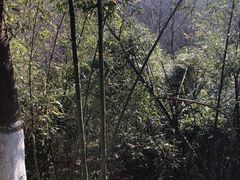 -菊花台公园