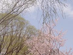 -南长河公园