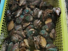 -霞涌市场海鲜摆卖区
