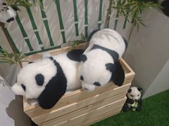 -竹鲜笙全竹宴(国色天香店)