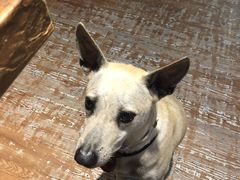 -阿飞冲浪旅店一馆